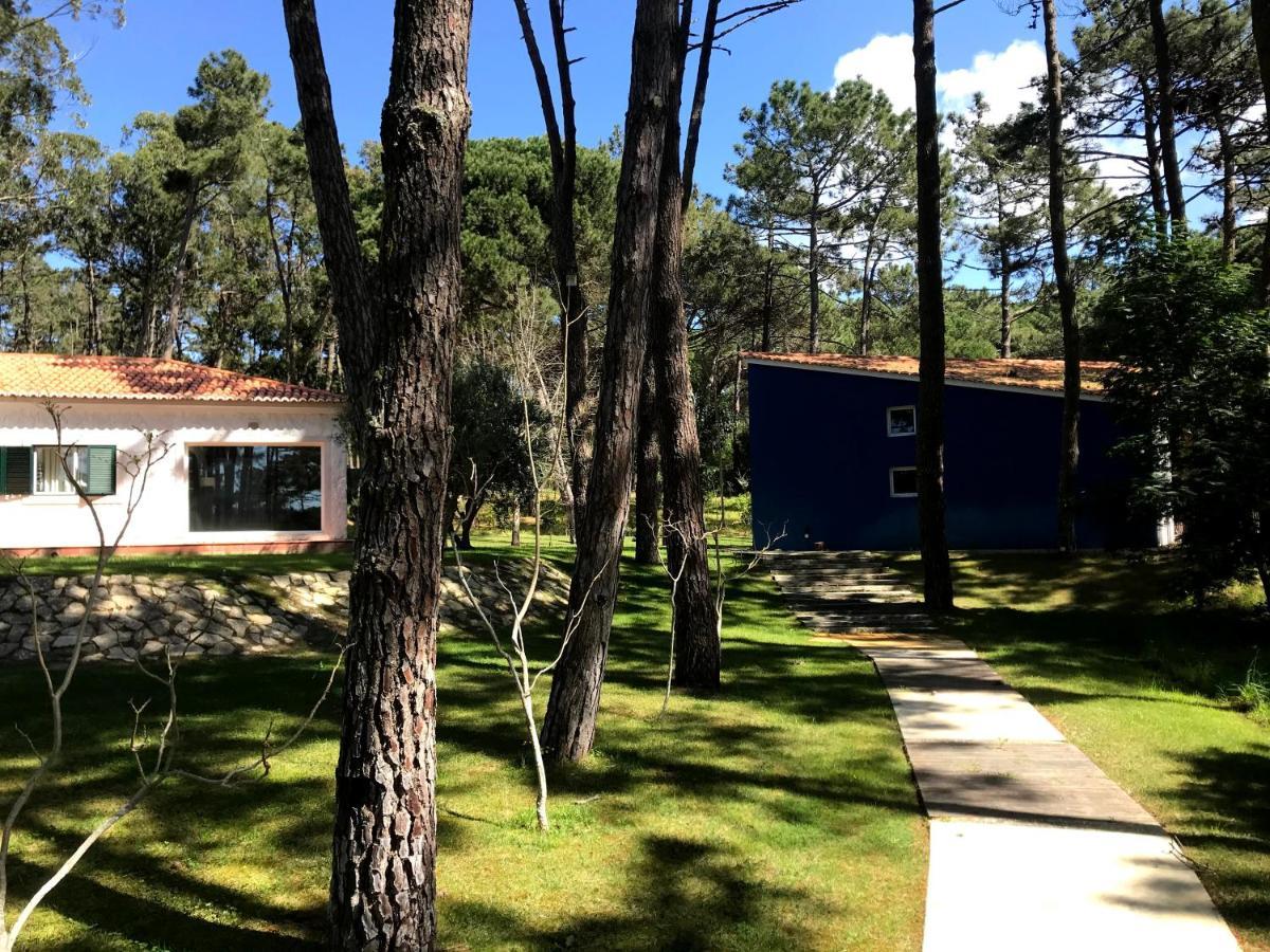 Villa Colares Sintra Dış mekan fotoğraf