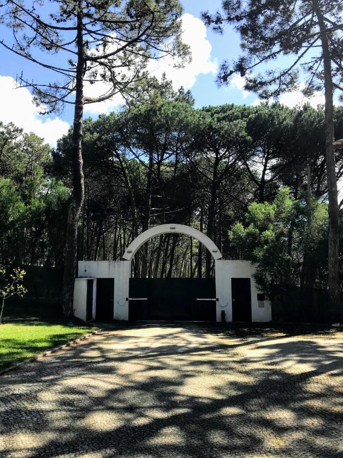 Villa Colares Sintra Dış mekan fotoğraf