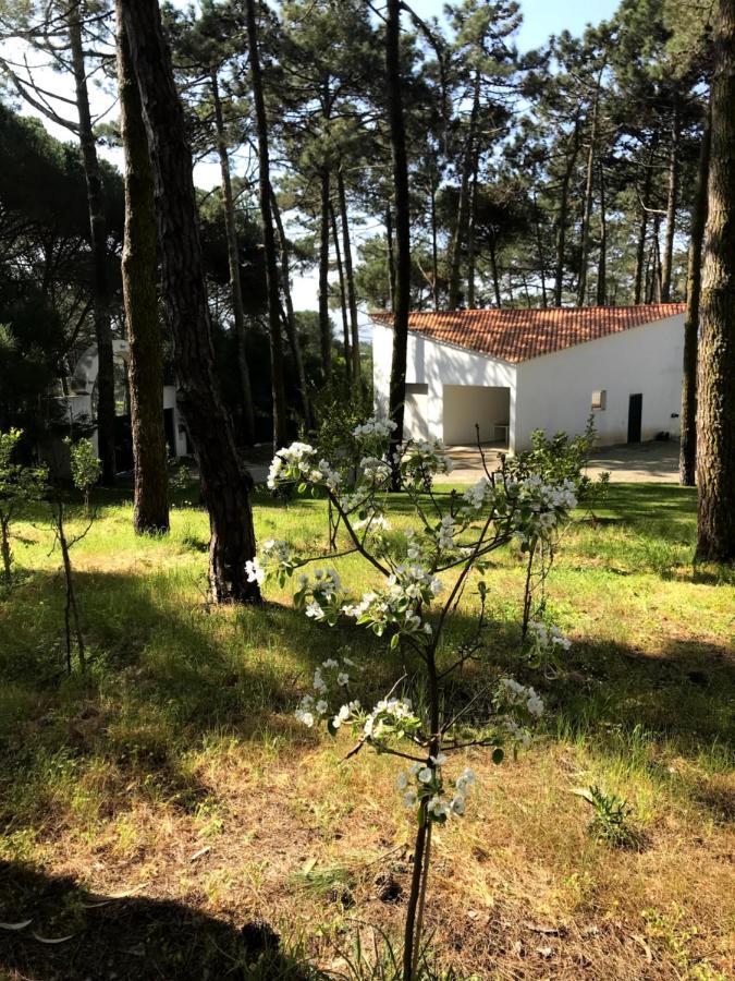 Villa Colares Sintra Dış mekan fotoğraf