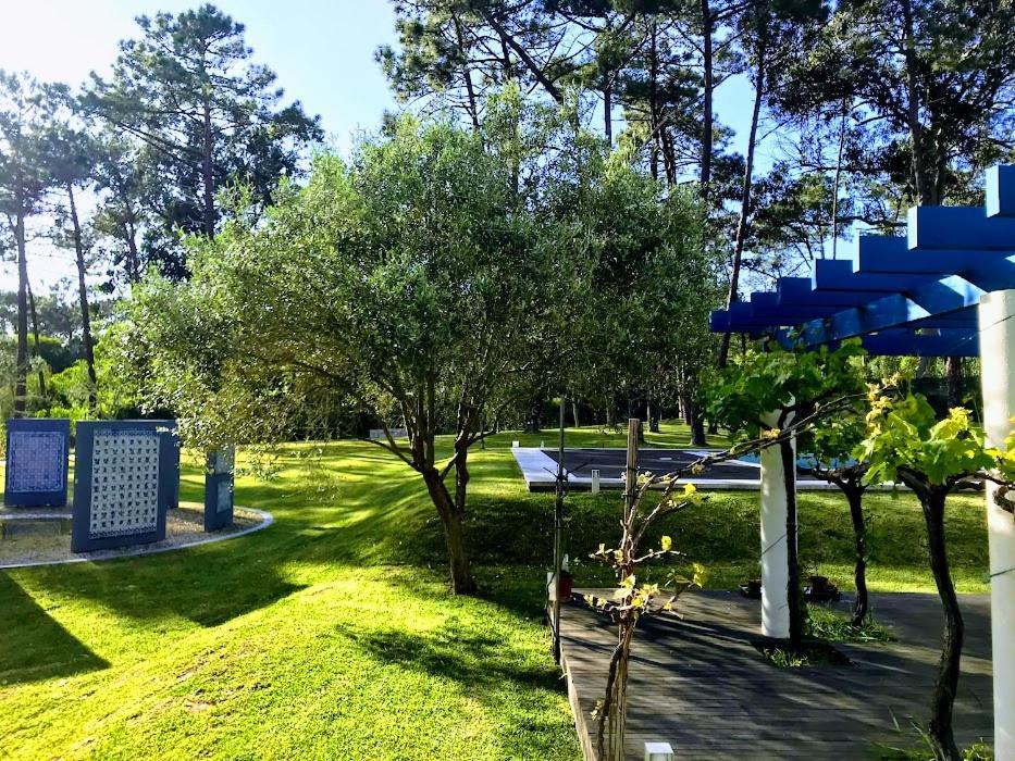 Villa Colares Sintra Dış mekan fotoğraf